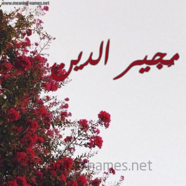 شكل 18 صوره الورد الأحمر للإسم بخط رقعة صورة اسم مُجير الدين MOGIR-ALDIN